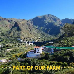 Appartement Casa Camino Tamadaba, Agaete (Gran Canaria)
